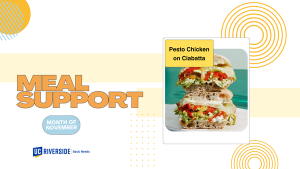 Pesto Chicken on Ciabatta