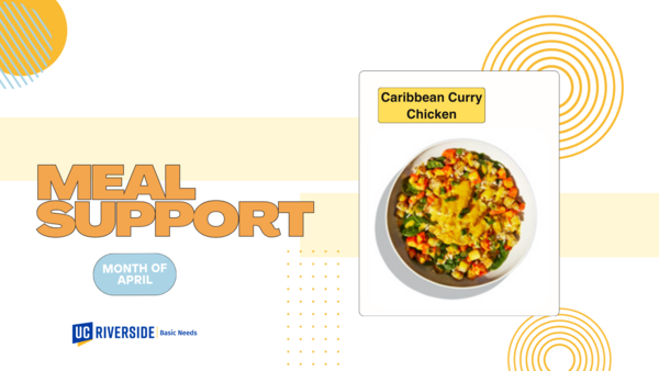 Meal Support- Caribbean Curry Chicken