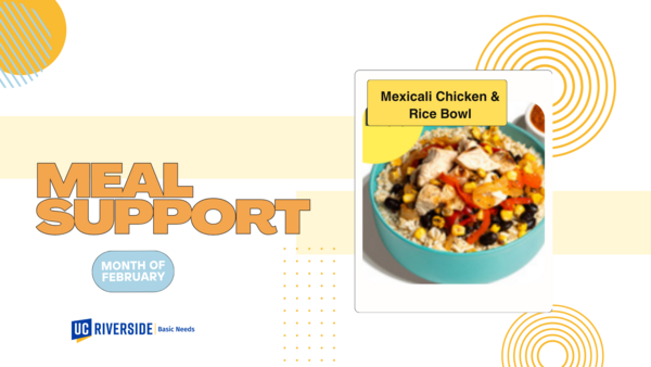 Meal Support - slide 1 