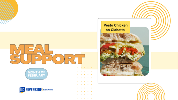 Meal Support slide 2