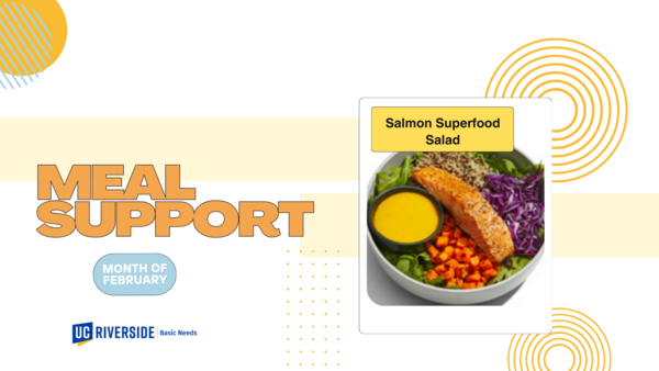 Meal support- slide 3