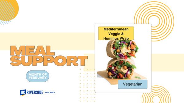 (Meal Support) Med. Veggie & Hummus Wrap