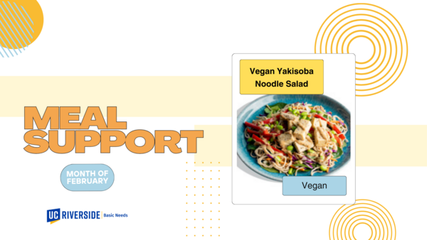 (Meal Support) Vegan Yakisoba Noodle Salad
