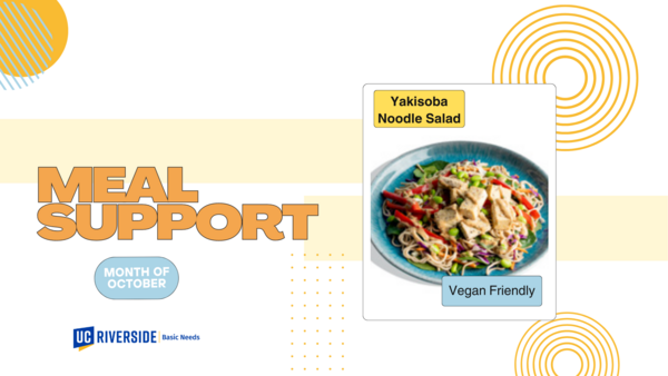 Vegan Yakisoba Noodle Salad