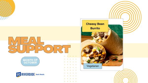 Cheesy Bean Burrito